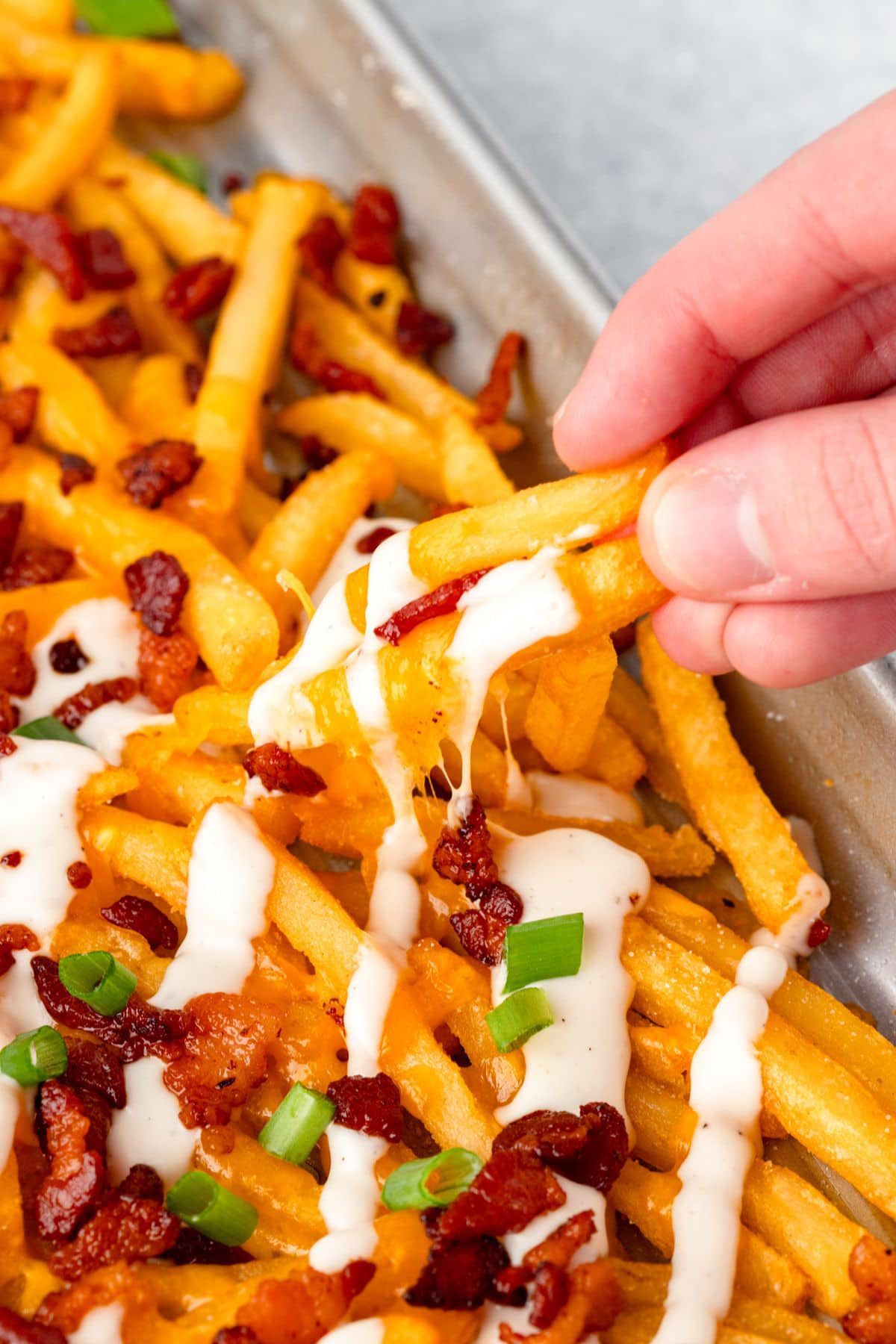 Fries bacon cheddar